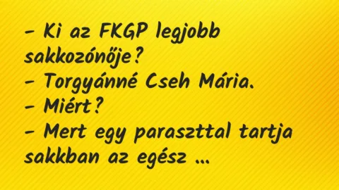 Vicc: Ki az FKGP legjobb sakkozónője?