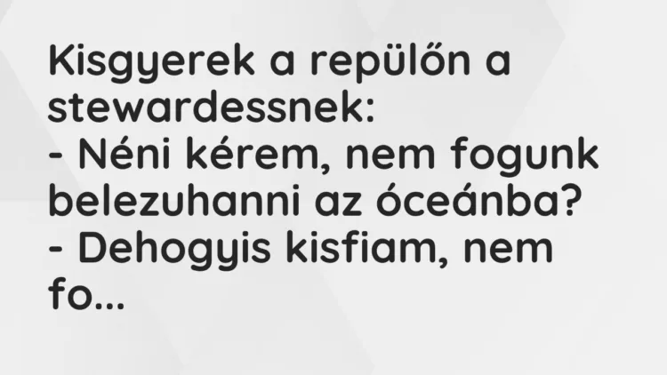 Vicc: Kisgyerek a repülőn a stewardessnek:
– Néni kérem, nem fogunk… Vicc: Kisgyerek a repülőn a stewardessnek:
– Néni kérem, nem fogunk…
