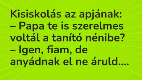Vicc: Kisiskolás az apjának…