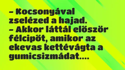 Vicc: Kocsonyával zselézed a hajad…