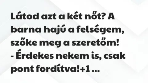 Vicc: Látod azt a két nőt? A barna hajú a felségem, szőke meg a… Vicc: Látod azt a két nőt? A barna hajú a felségem, szőke meg a…