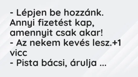 Vicc: – Lépjen be hozzánk. Annyi fizetést kap, amennyit csak akar!

– Az…