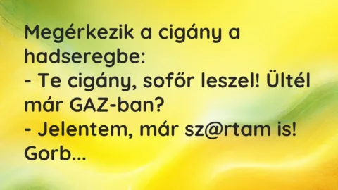 Vicc: Megérkezik a cigány a hadseregbe…