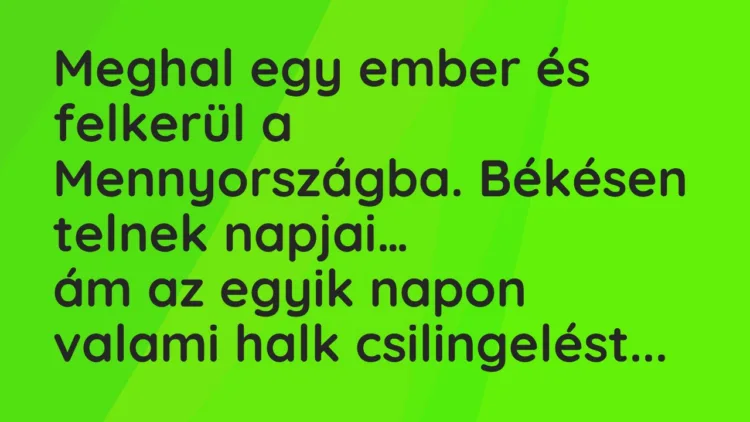 Vicc: Meghal egy ember és felkerül a Mennyországba. Békésen telnek napjai… Vicc: Meghal egy ember és felkerül a Mennyországba. Békésen telnek napjai…