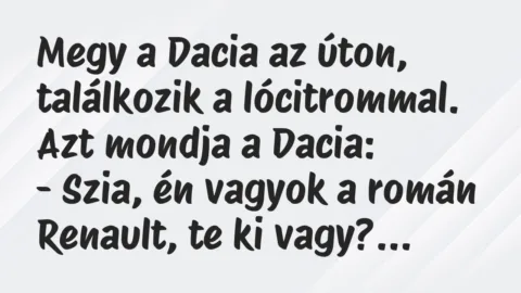 Vicc: Megy a Dacia az úton, találkozik a lócitrommal. Azt mondja a… Vicc: Megy a Dacia az úton, találkozik a lócitrommal. Azt mondja a…