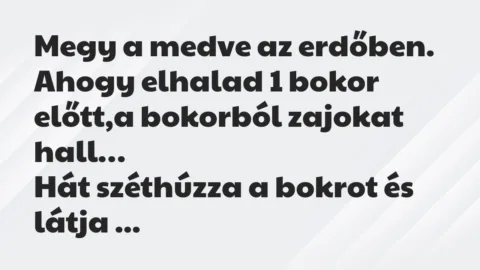 Vicc: Megy a medve az erdőben. Ahogy elhalad 1 bokor előtt,a bokorból zajokat…