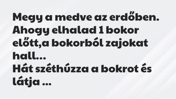 Vicc: Megy a medve az erdőben. Ahogy elhalad 1 bokor előtt,a bokorból zajokat… Vicc: Megy a medve az erdőben. Ahogy elhalad 1 bokor előtt,a bokorból zajokat…