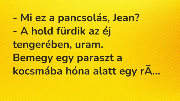 Vicc: Mi ez a pancsolás, Jean? Vicc: Mi ez a pancsolás, Jean?