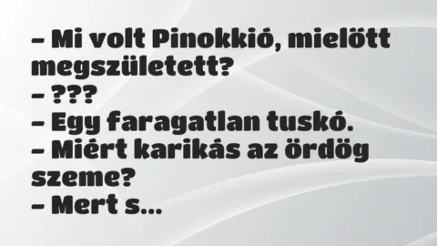Vicc: Mi volt Pinokkió, mielőtt megszületett?