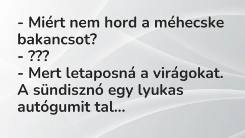 Vicc: Miért nem hord a méhecske bakancsot?