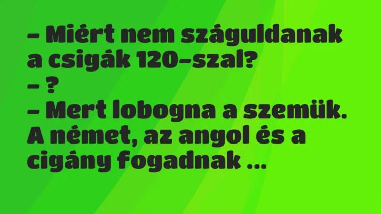 Vicc: Miért nem száguldanak a csigák 120-szal? Vicc: Miért nem száguldanak a csigák 120-szal?