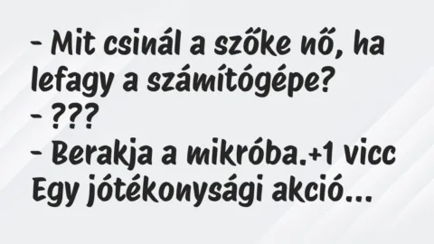 Vicc: – Mit csinál a szőke nő, ha lefagy a számítógépe?

– ???

-…