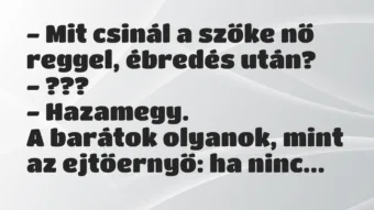 Vicc: Mit csinál a szőke nő reggel, ébredés után?