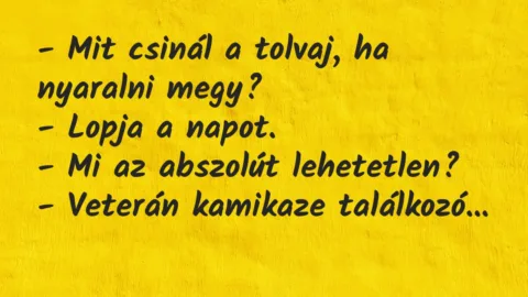 Vicc: Mit csinál a tolvaj, ha nyaralni megy?