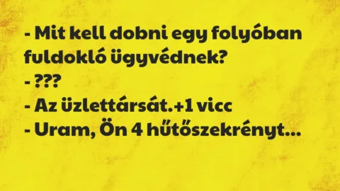 Vicc: – Mit kell dobni egy folyóban fuldokló ügyvédnek?

– ???

– Az…