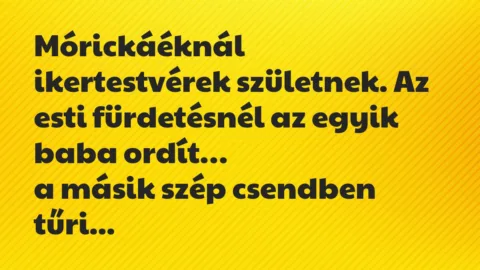 Vicc: Mórickáéknál ikertestvérek születnek. Az esti fürdetésnél az egyik baba…