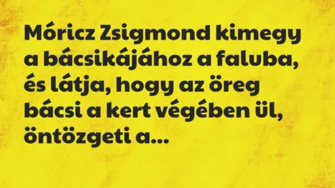 Vicc: Móricz Zsigmond kimegy a bácsikájához a faluba, és látja, hogy az öreg bácsi… Vicc: Móricz Zsigmond kimegy a bácsikájához a faluba, és látja, hogy az öreg bácsi…