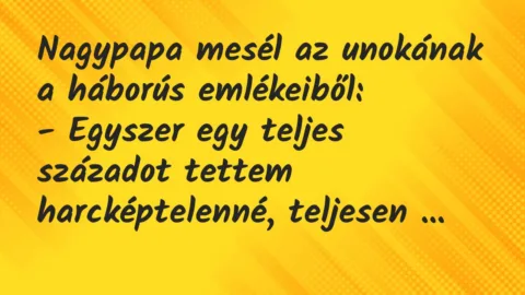 Vicc: Nagypapa mesél az unokának a háborús emlékeiből…
