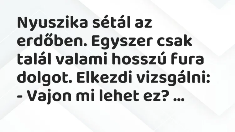 Vicc: Nyuszika sétál az erdőben. Egyszer csak talál valami hosszú fura… Vicc: Nyuszika sétál az erdőben. Egyszer csak talál valami hosszú fura…