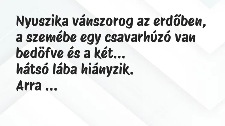 Vicc: Nyuszika vánszorog az erdőben, a szemébe egy csavarhúzó van bedöfve… Vicc: Nyuszika vánszorog az erdőben, a szemébe egy csavarhúzó van bedöfve…