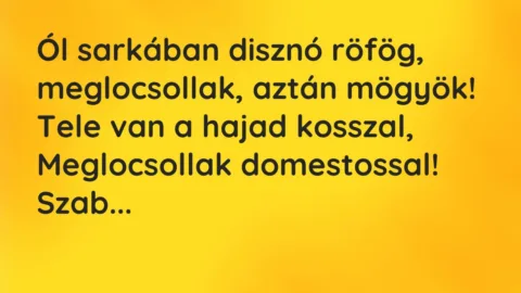 Vicc: Ól sarkában disznó röfög…