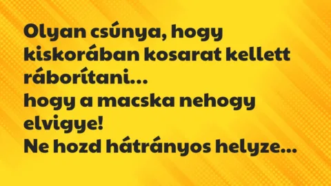 Vicc: Olyan csúnya, hogy kiskorában kosarat kellett ráborítani…