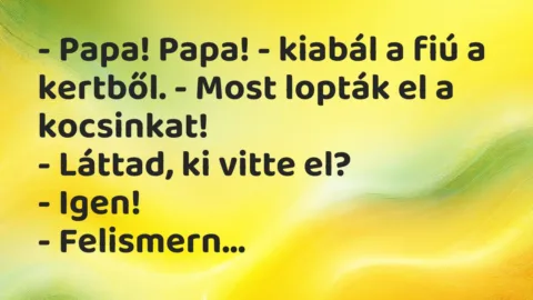 Vicc: – Papa! Papa! – kiabál a fiú a kertből. – Most lopták el a… Vicc: – Papa! Papa! – kiabál a fiú a kertből. – Most lopták el a…