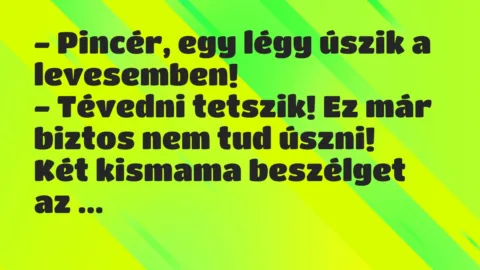 Vicc: Pincér, egy légy úszik a levesemben…