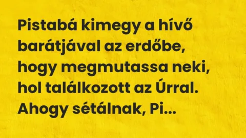 Vicc: Pistabá kimegy a hívő barátjával az erdőbe, hogy megmutassa neki, hol…
