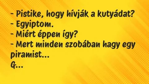 Vicc: Pistike, hogy hívják a kutyádat?