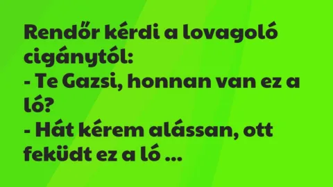 Vicc: Rendőr kérdi a lovagoló cigánytól…