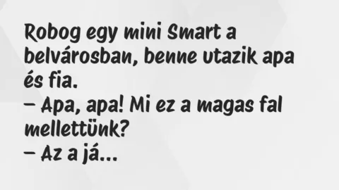Vicc: Robog egy mini Smart a belvárosban, benne utazik apa és fia…