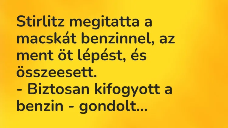 Vicc: Stirlitz megitatta a macskát benzinnel, az ment öt lépést, és… Vicc: Stirlitz megitatta a macskát benzinnel, az ment öt lépést, és…