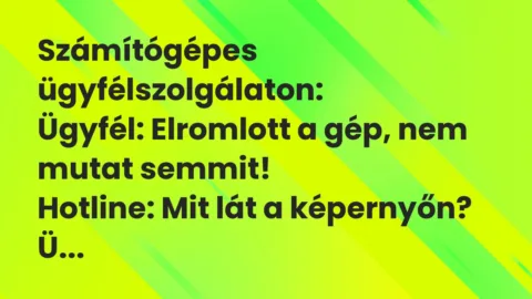 Vicc: Számítógépes ügyfélszolgálaton…