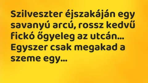Vicc: Szilveszter éjszakáján egy savanyú arcú, rossz kedvű fickó őgyeleg…