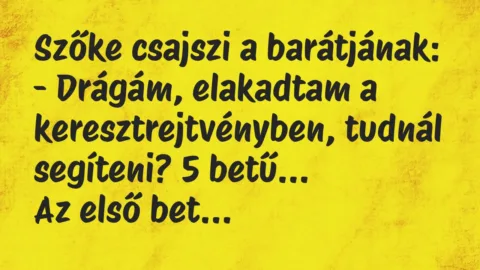 Vicc: Szőke csajszi a barátjának…