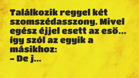 Vicc: Találkozik reggel két szomszédasszony. Mivel egész éjjel esett az eső… Vicc: Találkozik reggel két szomszédasszony. Mivel egész éjjel esett az eső…