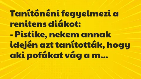 Vicc: Tanítónéni fegyelmezi a renitens diákot…