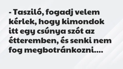 Vicc: – Tasziló, fogadj velem kérlek, hogy kimondok itt egy csúnya szót az…