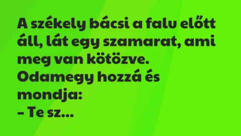 Vicc: Te szamár, mit csinálsz itt? Vicc: Te szamár, mit csinálsz itt?