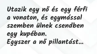 Vicc: Utazik egy nő és egy férfi a vonaton, és egymással szemben ülnek… Vicc: Utazik egy nő és egy férfi a vonaton, és egymással szemben ülnek…