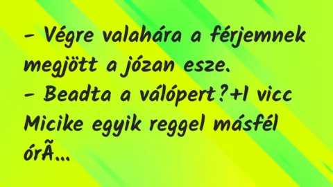 Vicc: – Végre valahára a férjemnek megjött a józan esze.

– Beadta a…