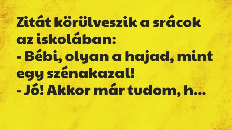 Vicc: Zitát körülveszik a srácok az iskolában… Vicc: Zitát körülveszik a srácok az iskolában…