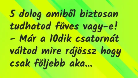 Viccek: 5 dolog amiből biztosan tudhatod füves vagy-e…