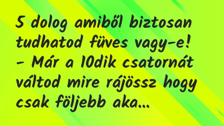Viccek: 5 dolog amiből biztosan tudhatod füves vagy-e… Viccek: 5 dolog amiből biztosan tudhatod füves vagy-e…