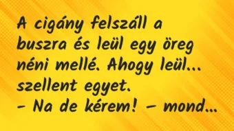 Viccek: A cigány felszáll a buszra és leül egy öreg néni mellé. Ahogy leül… Viccek: A cigány felszáll a buszra és leül egy öreg néni mellé. Ahogy leül…