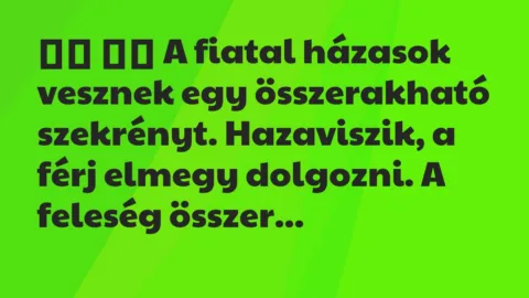 Viccek: 
		  
		  A fiatal házasok vesznek egy összerakható…