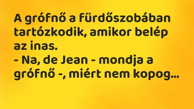 Viccek: A grófnő a fürdőszobában tartózkodik, amikor belép az inas… Viccek: A grófnő a fürdőszobában tartózkodik, amikor belép az inas…