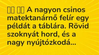 Viccek: 
		  
		  A nagyon csinos matektanárnő felír egy példát a…