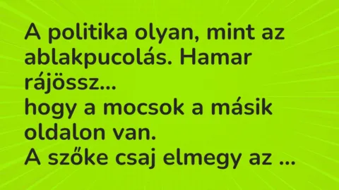 Viccek: A politika olyan, mint az ablakpucolás. Hamar rájössz…